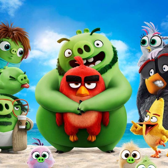 Спално бельо ANGRY BIRDS  3D 10737