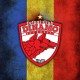Спално бельо Динамо Бухарест 3D 5229