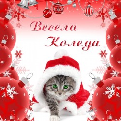 Спално бельо Весела Коледа 3D 9339
