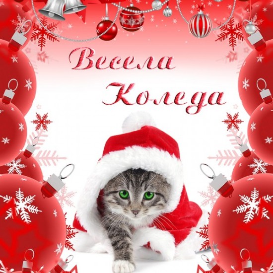 Спално бельо Весела Коледа 3D 9339