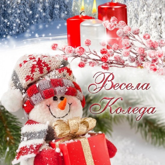 Спално бельо Весела Коледа 3D 9343