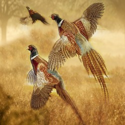 Спално бельо Фазани 3D 5372